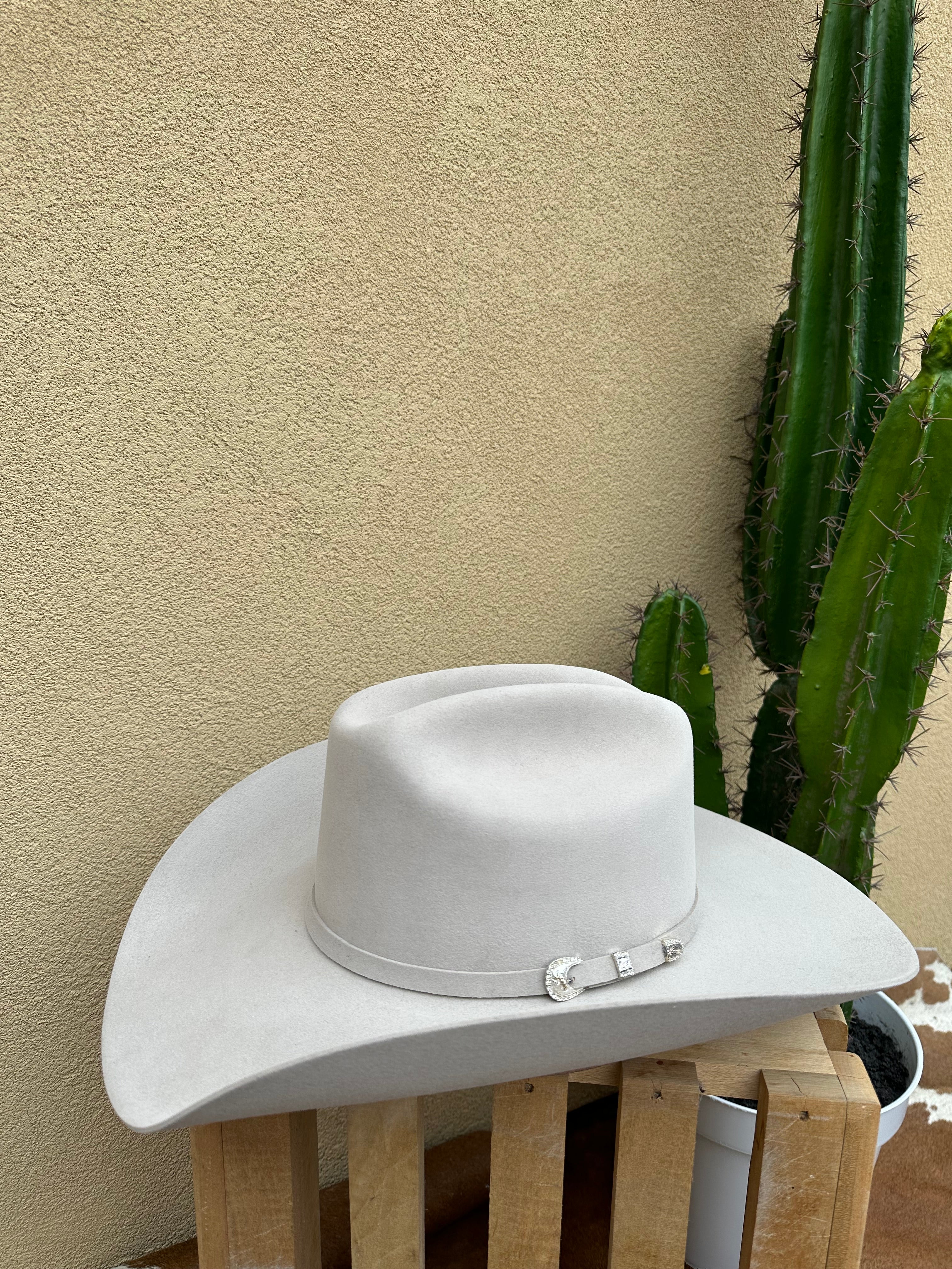 STETSON 10X “Shasta” Silverbelly Felt Hat – Zapateria Leon And Western Wear